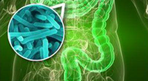 何謂益生菌 城市好生活 專訪前自然美生技研發總監鍾惠林博士 ... ...