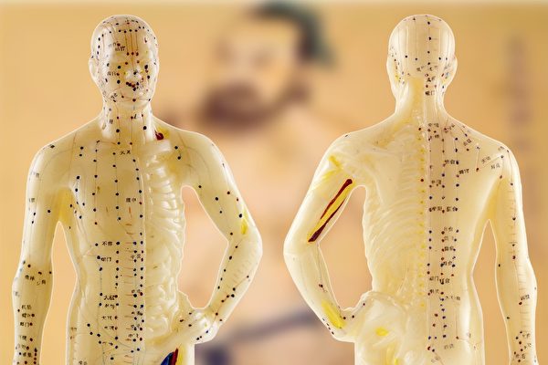 穴位調理治濕邪 林國華博士專訪 CLN城市生活報 | 記者 岑星 台北採訪報導 | 2023 04 2 ...