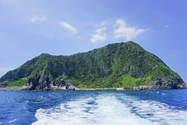 基隆最美季節！螢光閃閃、桐花綻放秘境大公開