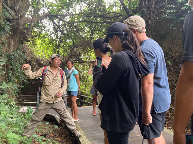 「海島之森」小琉球藝術季 啟動生態新藝象