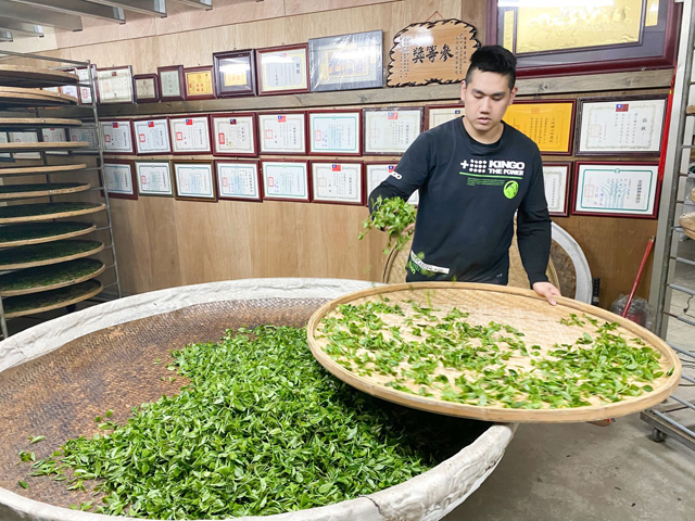 三峽區農會於4及5日辦理新北市蜜香紅茶評鑑比賽