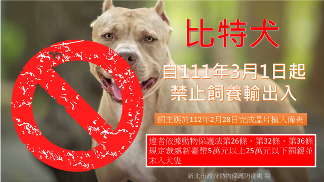 比特犬未絕育 開罰22例