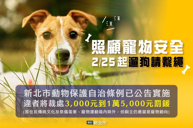 除了餵飯什麼都不管，新北動保處開罰不負責任飼主8萬6