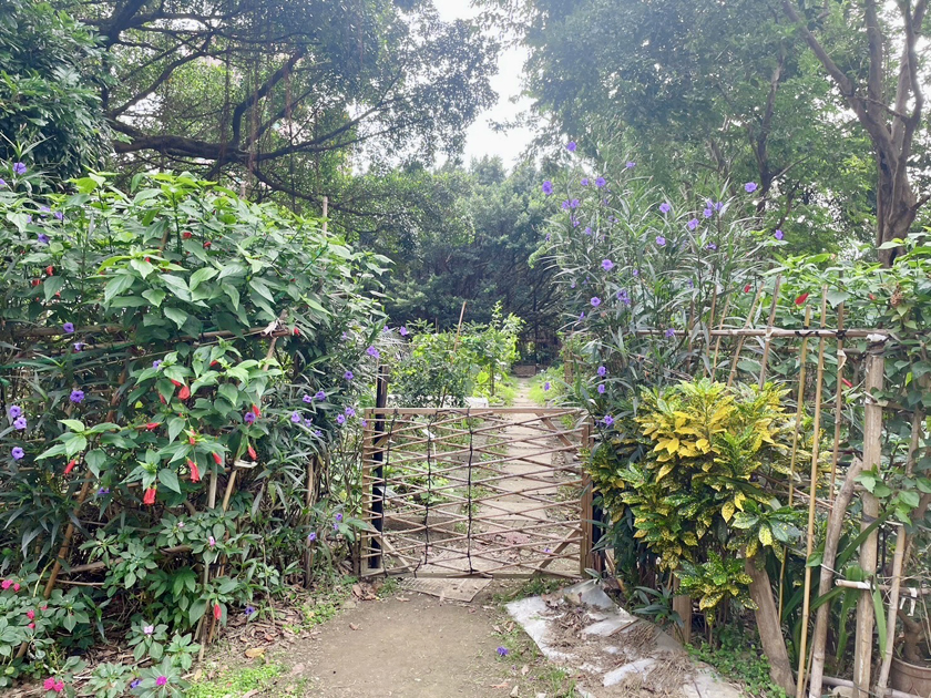 「世界城市日」新北市景觀處邀您一起成為都市農夫 打造可食地景城市 ... ...