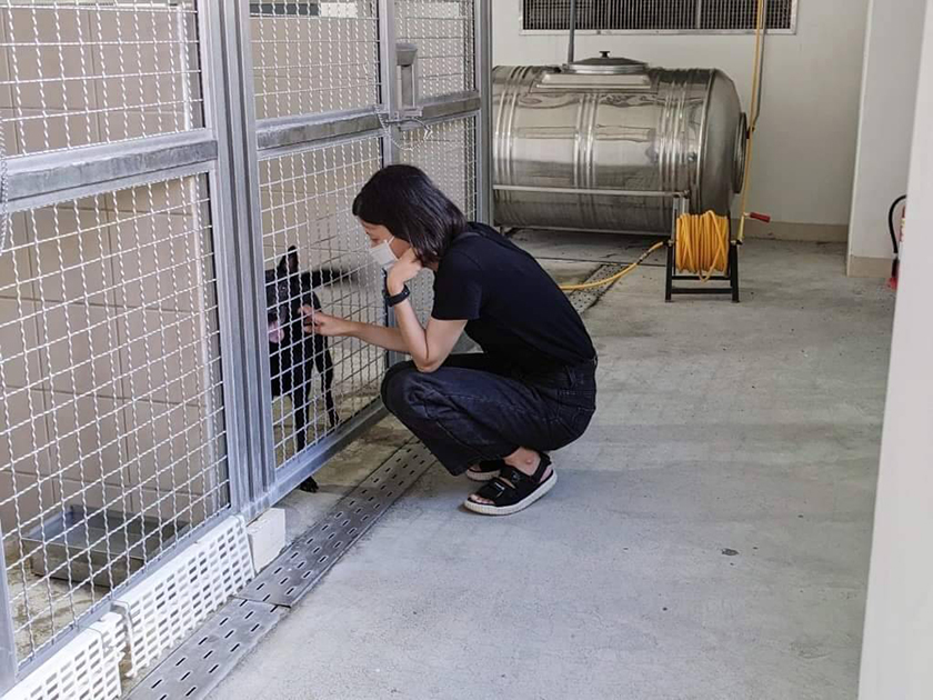 花蓮縣狗貓躍動園區11/1起調整開園時間　認養時段更彈性