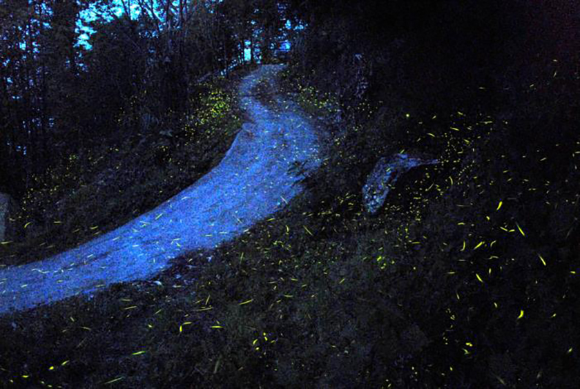 秋天最適出遊！走一趟梅嶺 大自然美景療癒疲憊身心