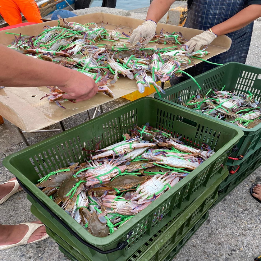 富基魚市推出「富基感蟹三重奏」 消費滿額享三重優惠