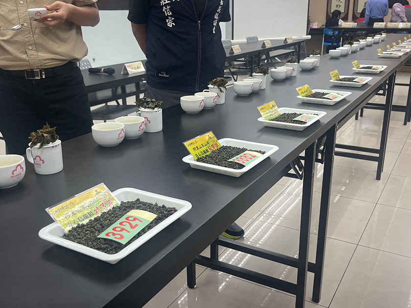 嘉義縣阿里山高山茶112年冬季優良茶競賽成績揭曉
