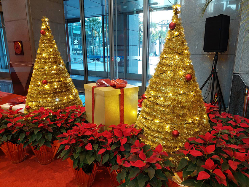 迎接聖誕 新北景觀處提供養護聖誕紅撇步