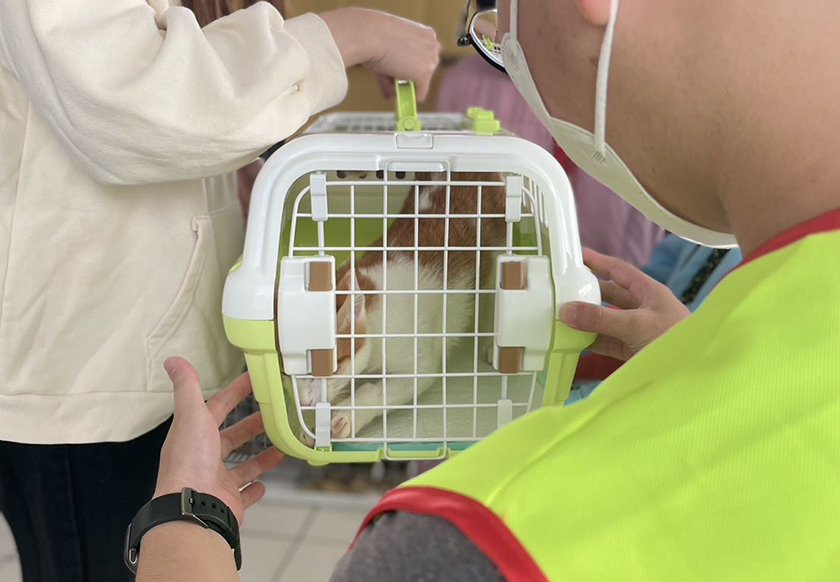 「愛心陪伴」計畫啟動！ 嘉義縣衛生局推動精神病友與流浪貓咪互助計畫 ... ...