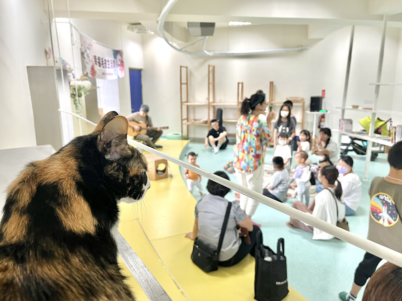透過旋律閱讀！中市動保處攜手「小吉他繪本屋」宣導動物生命教育 AI主播「公益新聞」 ...
