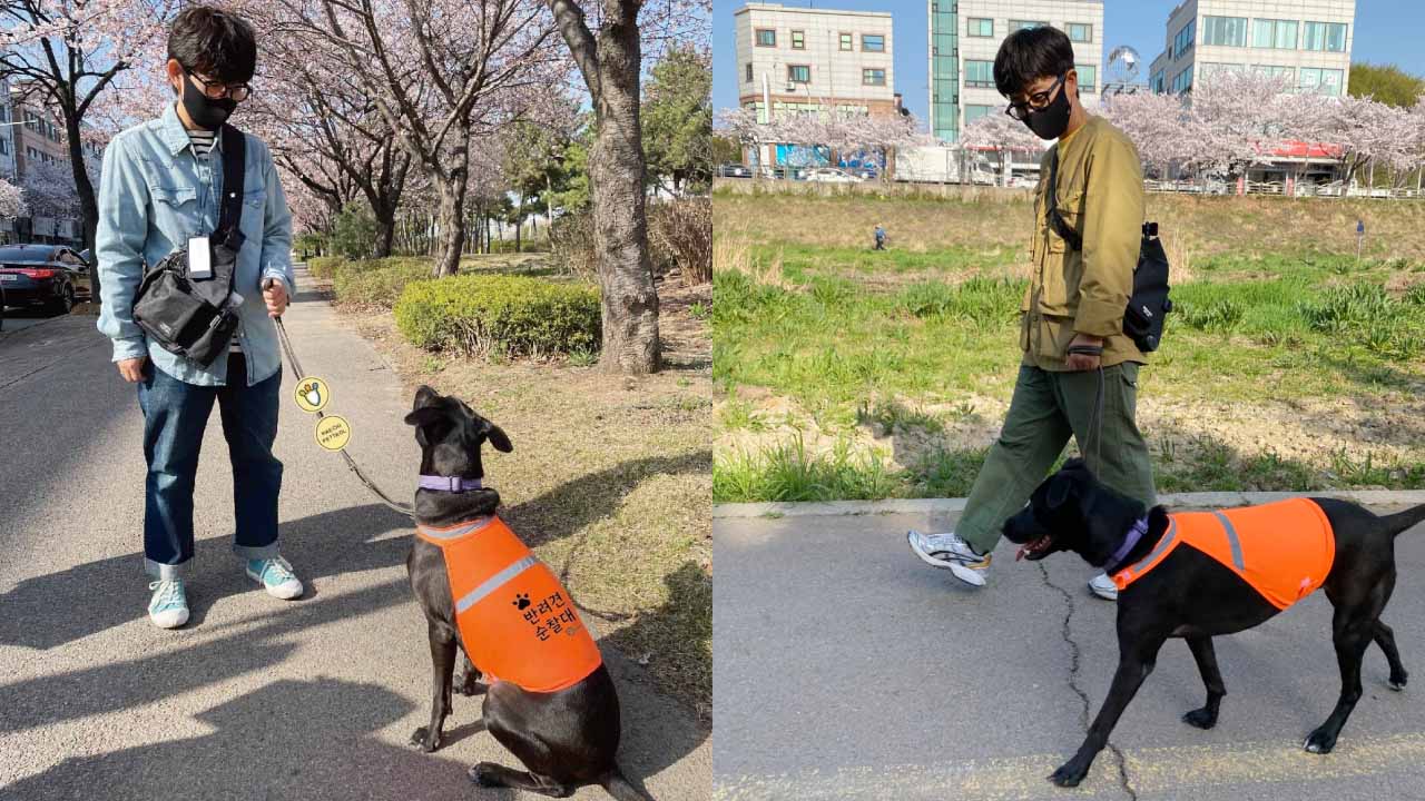 「與狗同行好安心」遛狗散步還能預防犯罪，南韓首爾寵物狗巡邏隊出動！AI主播「寵物新 ...