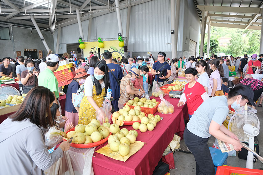 新埔水梨節開跑 邀民眾暢遊新埔嘗甜脆水梨_AI主播「吃喝新聞」城市生活報 ...