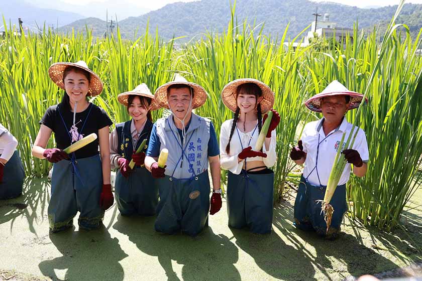埔里農會茭點女神系列推廣活動 許縣長體驗茭白筍採收_AI主播「玩樂新聞」城市生活報 ...