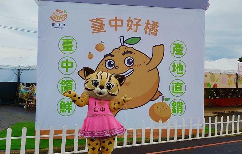 新社花海中遇見「台中好橘」 地景裝置藝術成秋日最萌打卡點_AI主播「吃喝新聞」城市生 ...