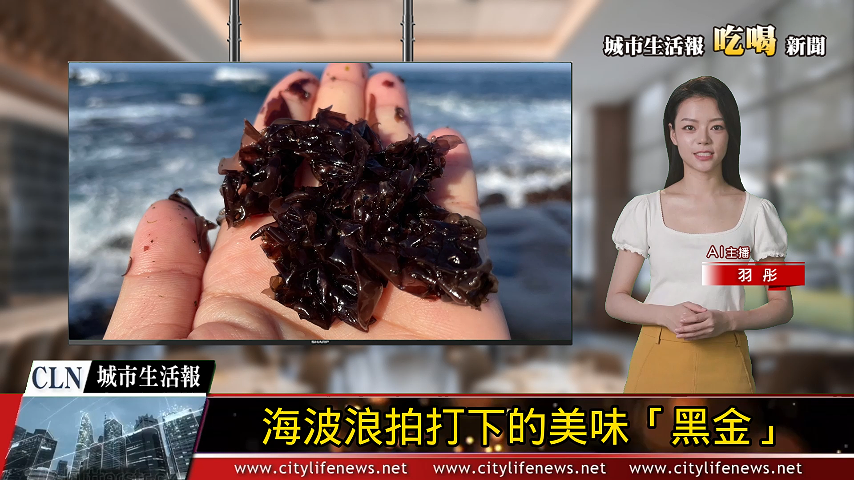 AI主播「吃喝新聞」城市生活報 | 2024.12.07 |