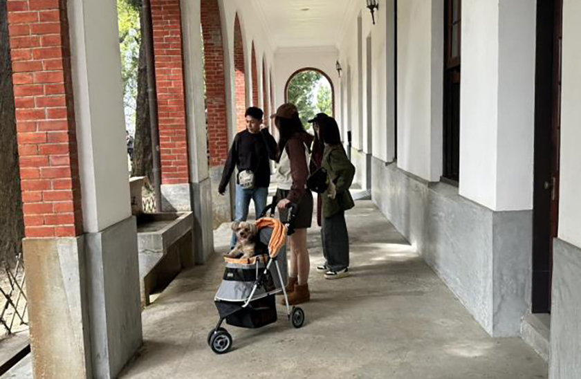 巷仔Niau帶路！文史之都與寵物共融 臺南寵物友善政策乙巳新春連假見成效_城市生活報 ...