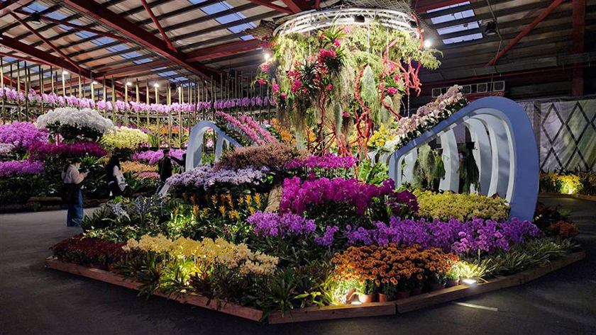 「2025花在彰化」彰化走春趣