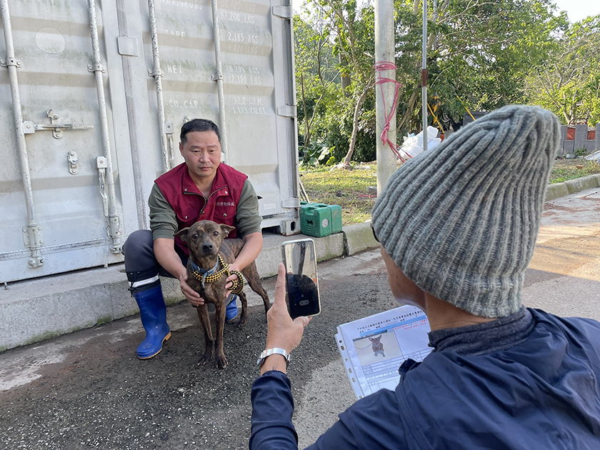 新北動保處動保員創意拍片推認養 破萬讚影片成功送養_城市生活報 ...