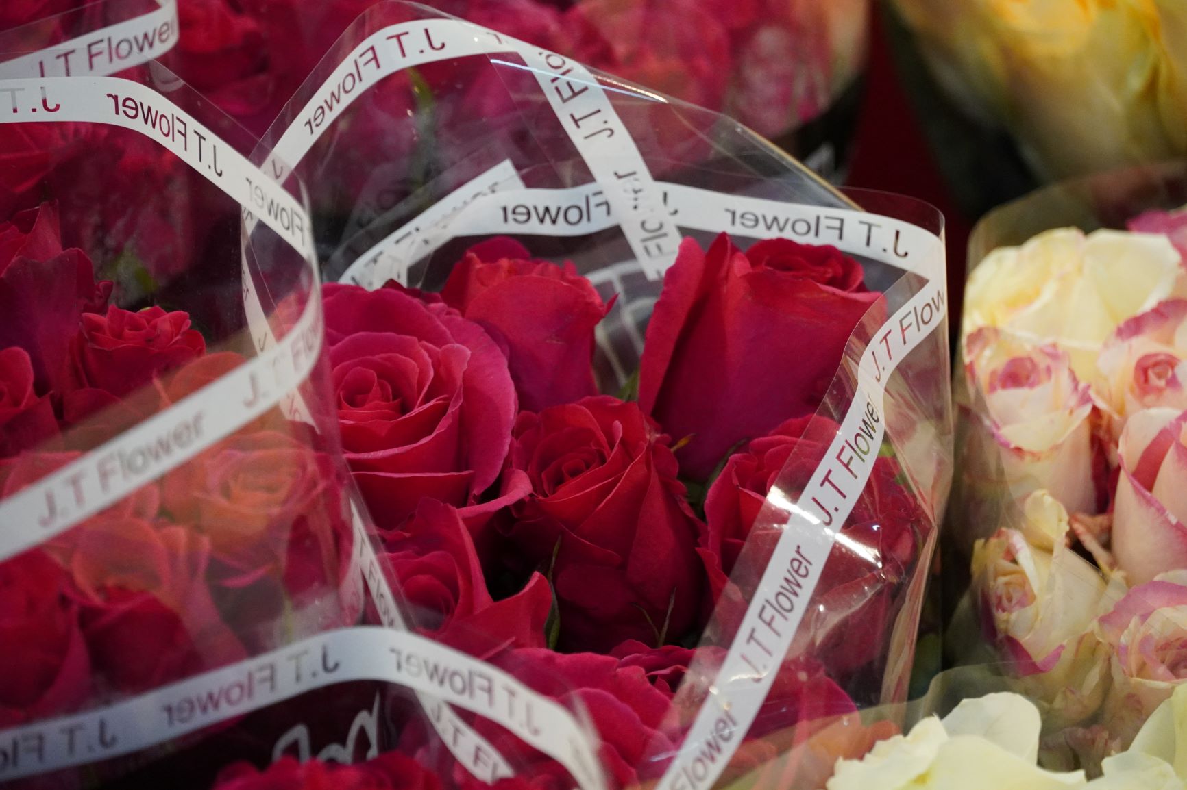 板橋花市選擇多　情人節玫瑰花束正夯＿城市生活報