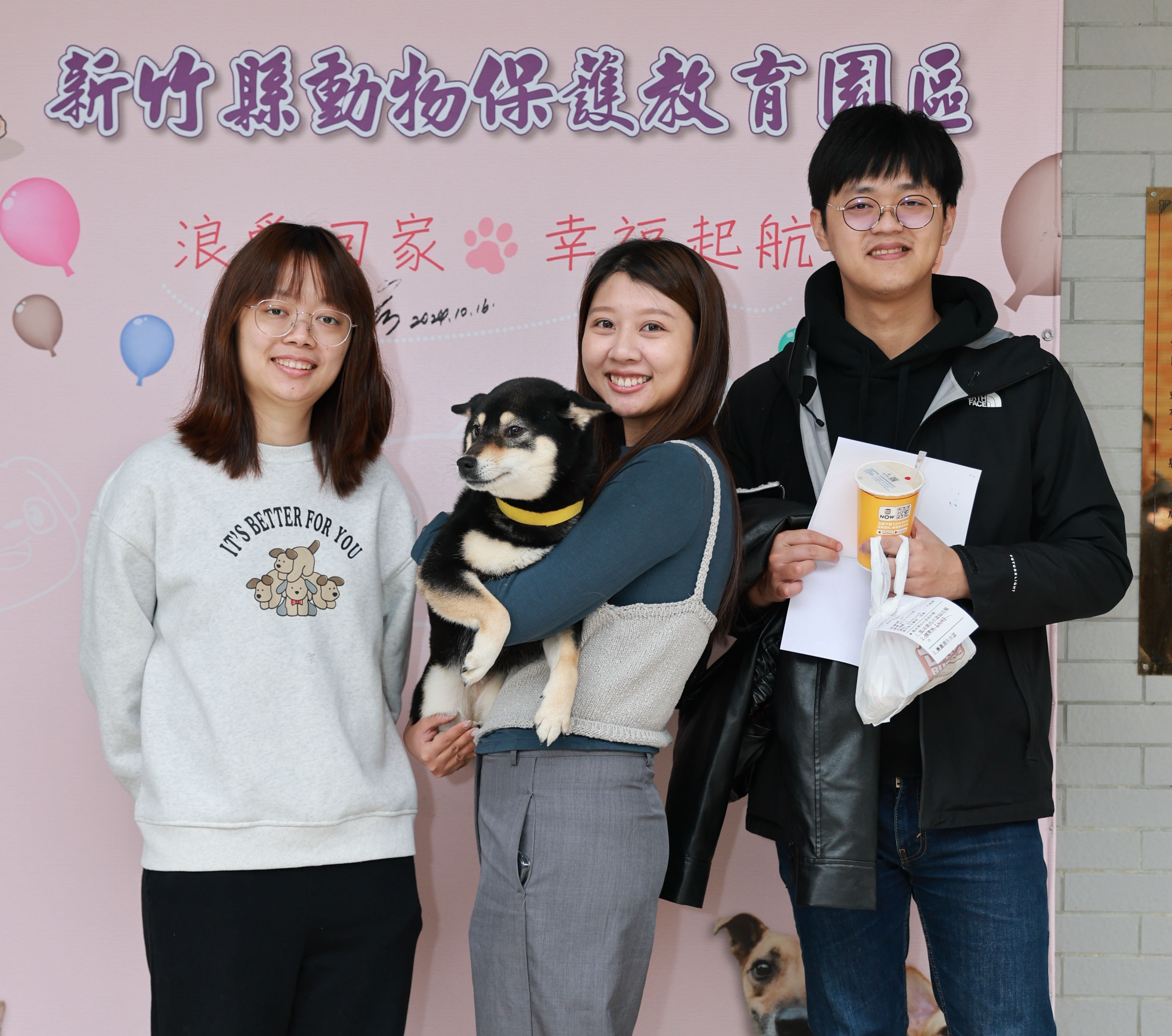 竹縣動保所悉心照料   非法繁殖場13隻柴犬3月12日開放認養