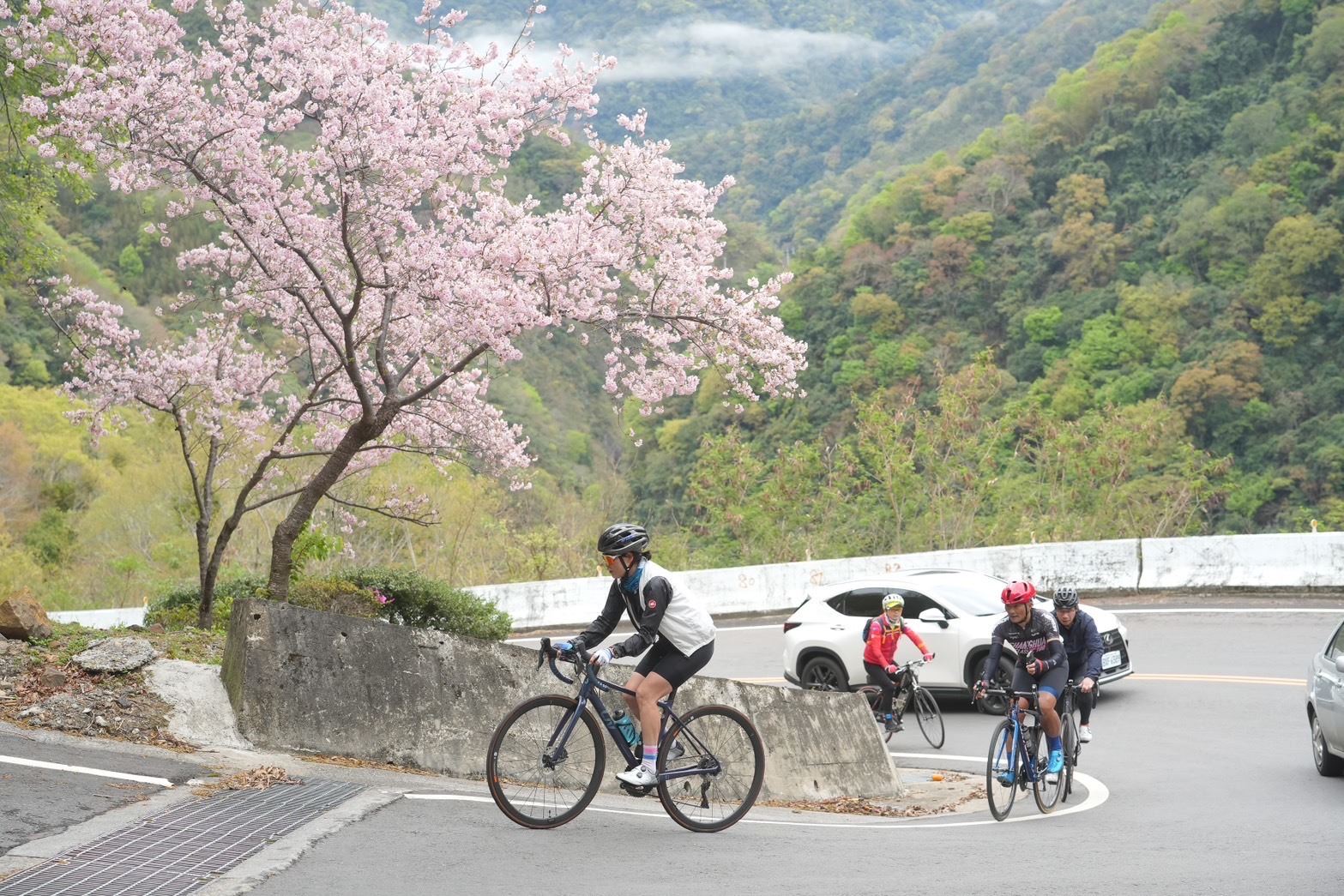 2025探索北橫春季活動 595人挑戰櫻花勇士完騎成功