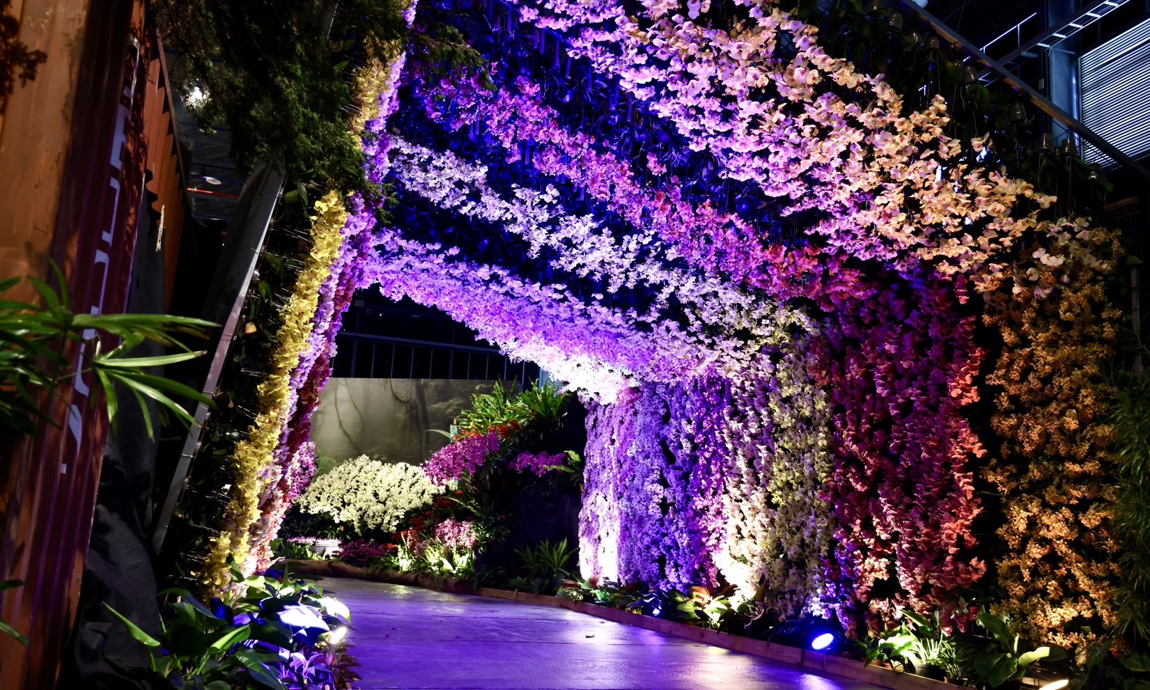 「2025亞太蘭花會議暨臺灣國際蘭展」