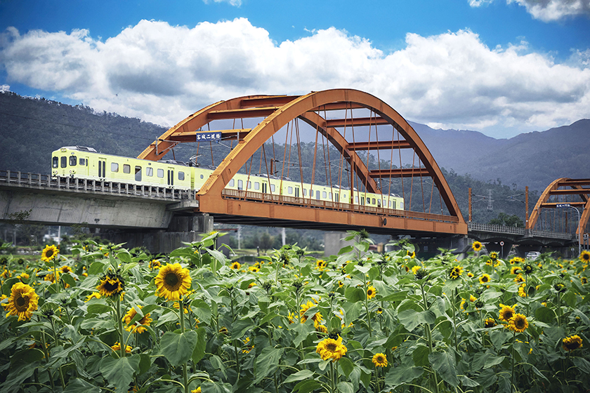 繁花盛開，花蓮春季百花齊放！《花蓮趣》52期邀您一起賞春