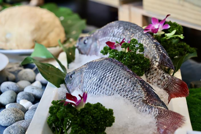 台南攜手飯店推「台灣鯛美食季」 八道創意料理亮相吸睛