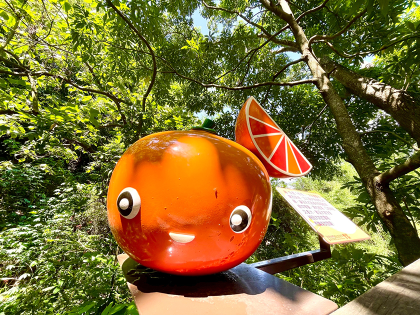 漫遊台中山林！大坑10號特產步道 美景、美食一次滿足