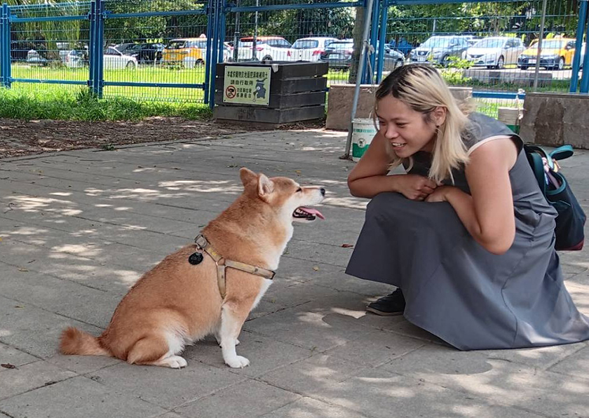 新北河濱七大寵物公園 邀您攜毛孩共度國際狗狗日