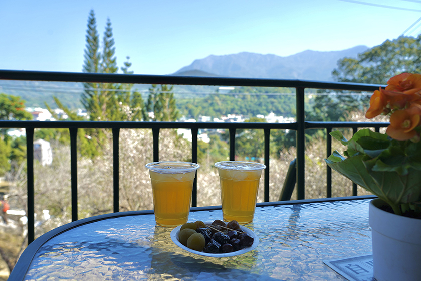 錯過阿里山雪景別可惜　梅山公園白梅盛開宛如「平地雪」吸睛 ...
