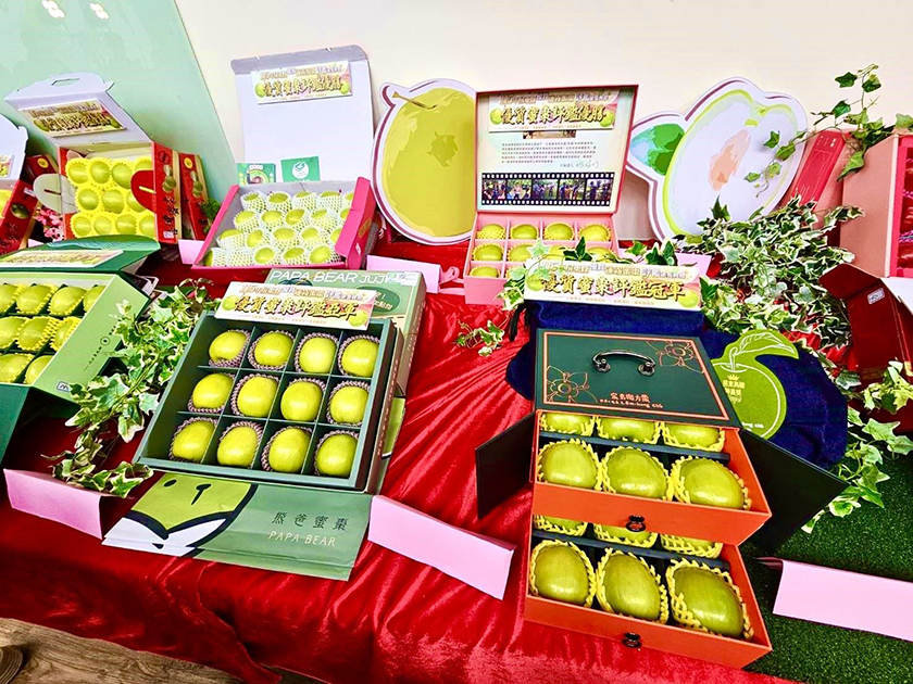 就選屏東精品　115年屏東蓮霧、蜜棗評鑑雙冠揭曉